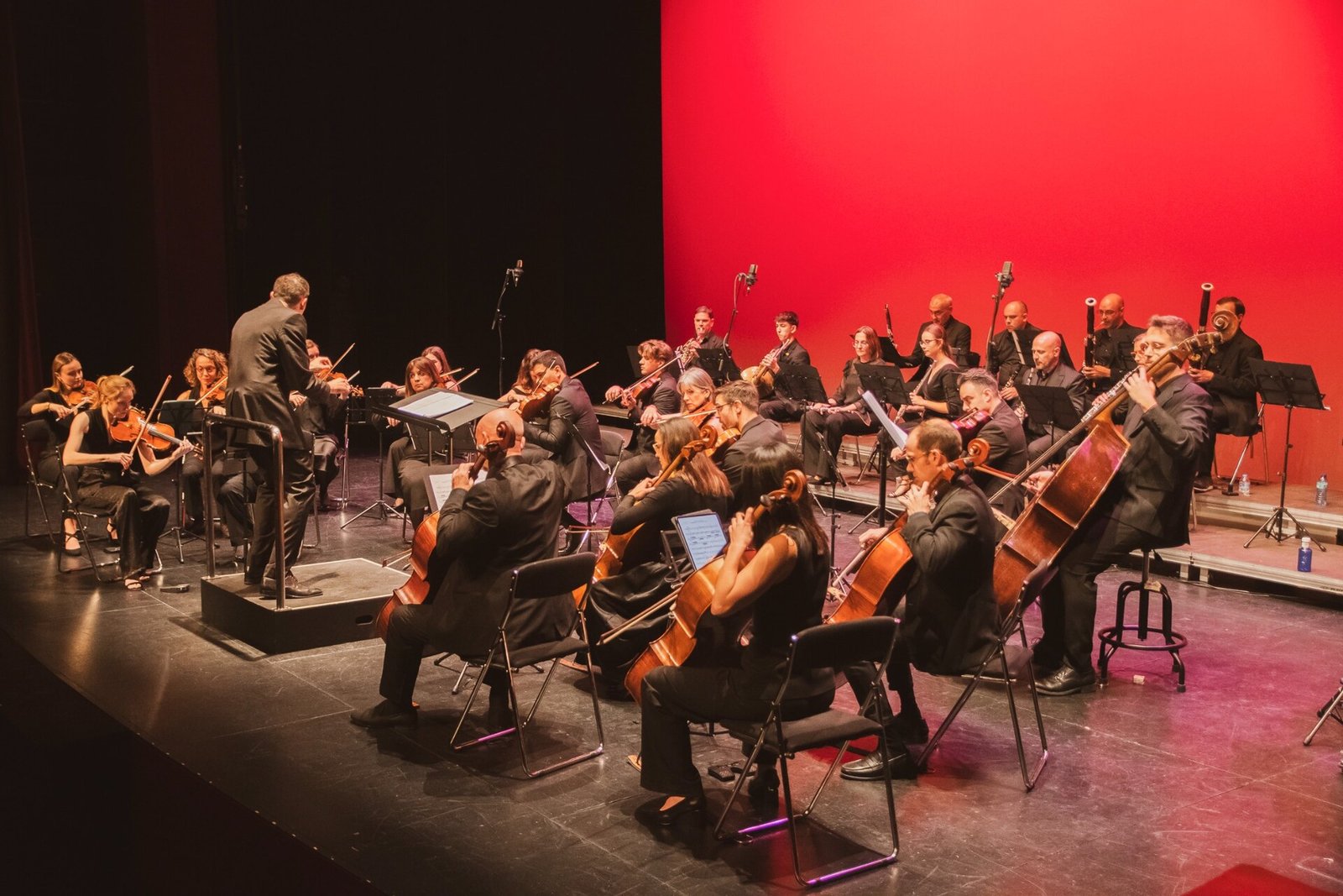 Orquesta Camerata de Castilla-La Mancha en concierto
